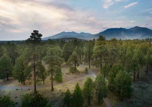 an aerial view of a forest with mountains in the background at Little America Hotel Flagstaff in Flagstaff