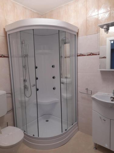 a bathroom with a shower with a toilet and a sink at VILA GE in Sebeş