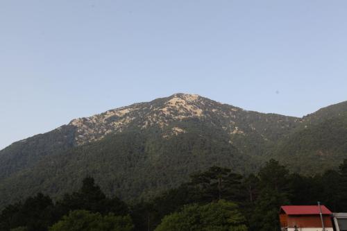 a mountain covered in trees with a house in the foreground at Hamiti Camping Center in Llogara