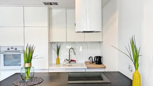 A kitchen or kitchenette at Victoria Apartments, Ligonia Street
