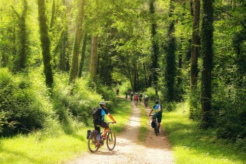 two people riding bikes on a dirt trail in a forest at App Lidia in Grožnjan