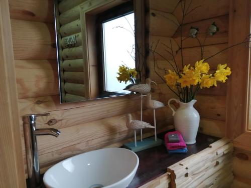 uma casa de banho com lavatório, espelho e flores em Ravenglass Log Cabin em Ravenglass