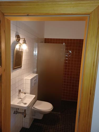 a bathroom with a toilet and a sink at FeWo "Biene" im Kunstgut Krahne in Lehnin