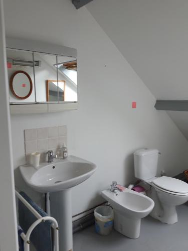 łazienka z umywalką i toaletą w obiekcie Domi et les chats w mieście Barbezières
