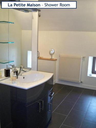 une salle de bain avec un lavabo et un miroir dans l'établissement The Barn Complex, à Argenton lʼÉglise