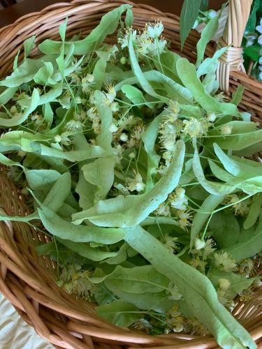 a basket filled with green leaves and flowers at Pie Ezerrozēm in Ķavari