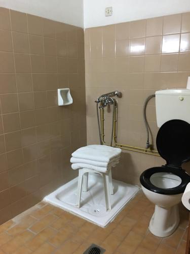 a bathroom with a toilet and a stool in it at Artemis in Nafplio