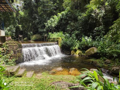 wodospad w środku lasu w obiekcie Pousada Moinho Azul w mieście Teresópolis