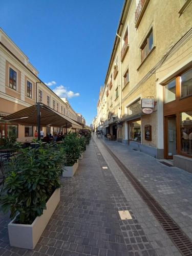 an empty street with buildings and potted plants at Laura Studio - Central in Oradea