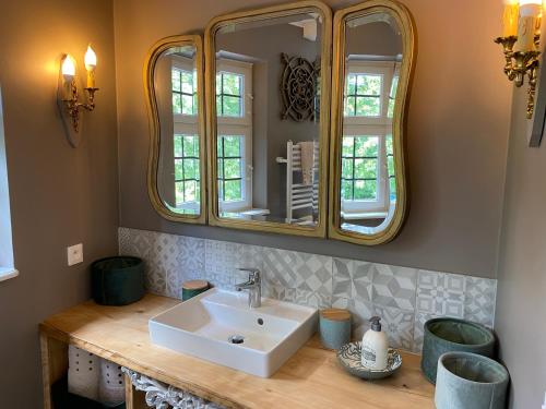 a bathroom with a sink and a mirror at La Ferme de Grand Mère in Furchhausen