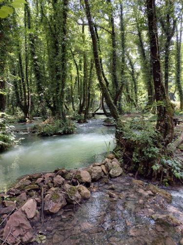 Galería fotográfica de Domacinstvo Ubovic en Šipovo