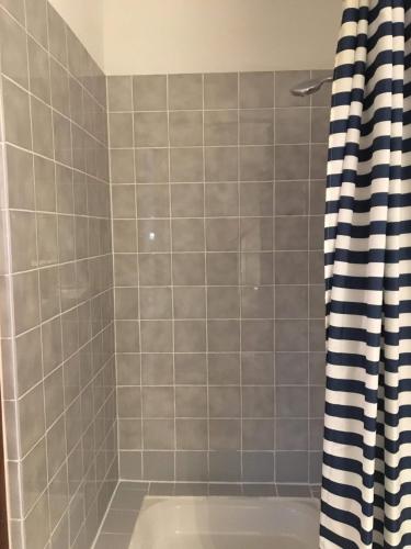 La salle de bains est pourvue d'une baignoire et d'un rideau de douche. dans l'établissement Brides-les-Bains family ski and spa appartment, à Brides-les-Bains