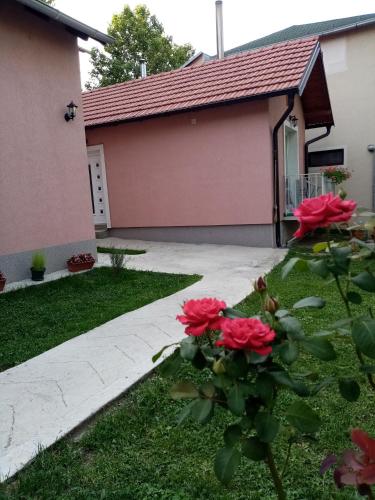 a house with red roses in the yard at Apartman TAJNA Vrdnik in Vrdnik