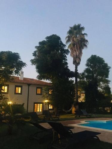 a house with a palm tree and a swimming pool at Casas do Vale da Rainha in Portimão