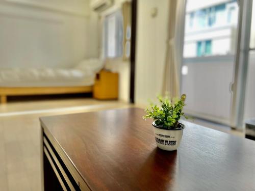 a potted plant sitting on top of a table at Villa Izumizaki in Naha
