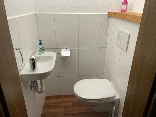 a bathroom with a toilet and a sink at Romantikapartment mit Sommercard in Ramsau am Dachstein