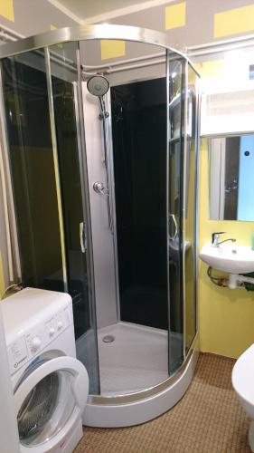 a bathroom with a shower and a washing machine at Pärna külaliskorter in Vaemla