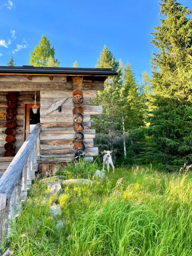 a dog sitting outside of a log cabin at Villa Saarua by the Slopes Ski in, Family & Bike Park, hike trails, National Park, WiFi - Lapland Villas in Ruka