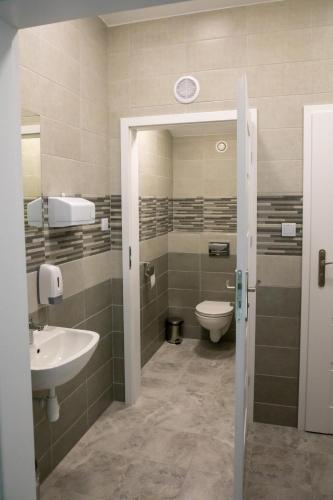 a bathroom with a sink and a toilet at Zacisze Natura Tour in Spała