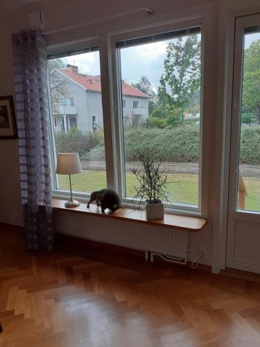 Et eller flere kæledyr der bor med gæster på Villa mitt i Ullared - 400m till Gekås