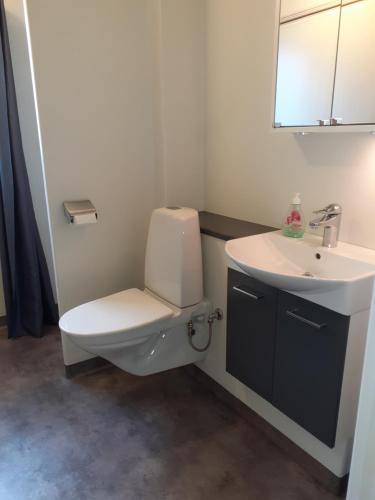een badkamer met een toilet en een wastafel bij Villa mitt i Ullared - 400m till Gekås in Ullared