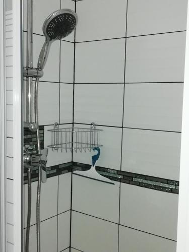 La salle de bains est pourvue d'une douche et d'un sèche-cheveux. dans l'établissement Résidence les Estivales, au Cap d'Agde