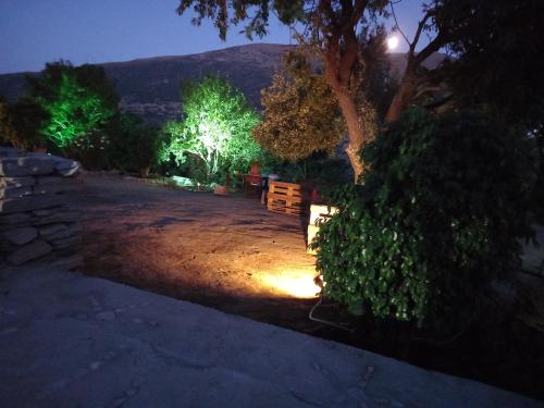 a park with a bench and a tree at night at levante studios Αndros in Ménites
