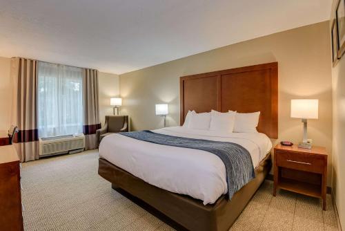 a hotel room with a large bed and a window at Comfort Inn & Suites Augusta Fort Eisenhower Area in Augusta