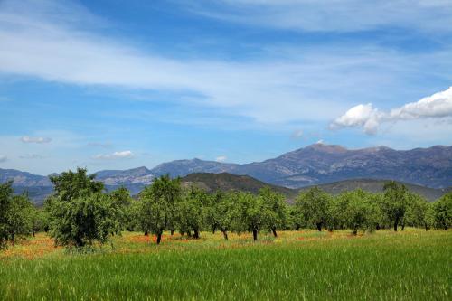 a green field with trees and mountains in the background at Hostería de Guara in Bierge