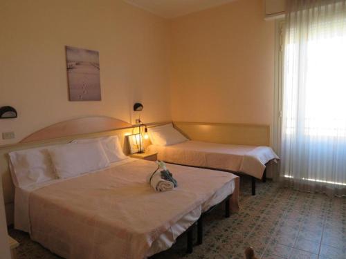 チェゼナーティコにあるHotel Primulaのベッド2台と窓が備わるホテルルームです。