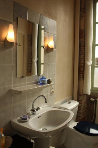 een badkamer met een wastafel, een toilet en een spiegel bij MaDamenFrance in Monclar-dʼAgenais