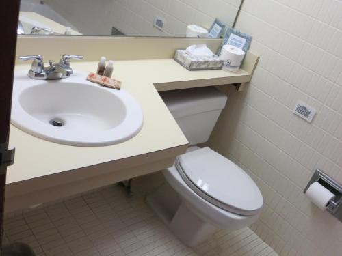 a bathroom with a white sink and a toilet at Sugarloaf Lodge in Sugarloaf Shores