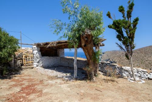 a stone building with a tree in the foreground at Itonia House in Amorgos