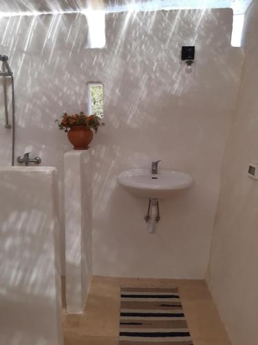 baño blanco con lavabo y planta en Casa Baronessa, en Ceglie Messapica