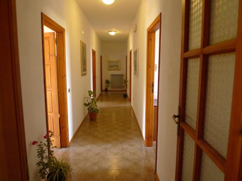 an empty hallway with a door and a hallway with plants at Hotel Alexander in Tropea