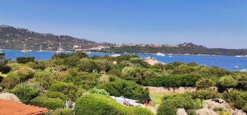 a view of a body of water with trees at Casa Pedra Concada in Santa Marinella