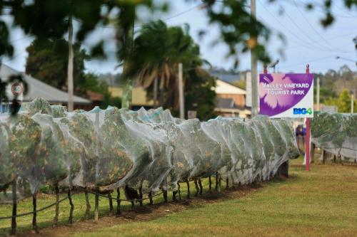 a fence covered in plastic bottles on a field at Ingenia Holidays Hunter Valley in Cessnock