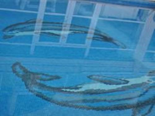 Fotografie z fotogalerie ubytování Ucem Hotel Golden Sea v destinaci Altinoluk