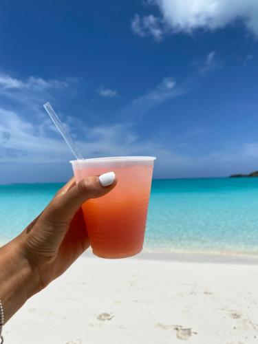 a hand holding a drink in front of the beach at Tropical View Villas in Hartswell