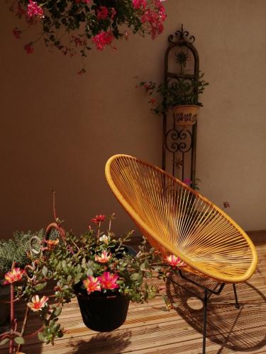 a yellow chair sitting next to a bunch of flowers at Gîte Le Patio in Kaysersberg