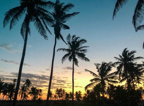 a group of palm trees in front of a sunset at Kumba Lodge in Praia do Tofo