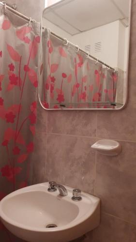 a bathroom with a sink and a mirror at DEPRTAMENTO DONOVAN II in Resistencia
