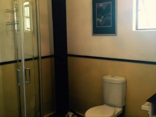 a bathroom with a toilet and a glass shower at The Nelsbells Cottage in Clarens
