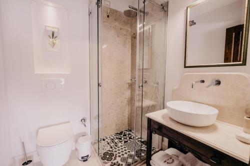 ベラトにあるBeratino Hotelのシャワー、トイレ、洗面台を備えたバスルーム