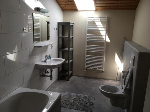 ein Badezimmer mit einem Waschbecken, einem WC und einem Spiegel in der Unterkunft Appartement Kitzsteinhorn in Zell am See