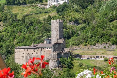 Sonnenhof Sonnblume – Photos 3