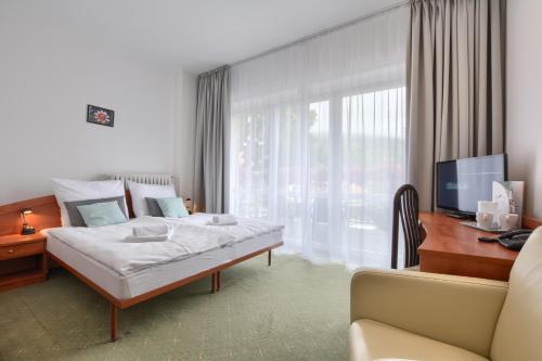 um quarto com uma cama, uma secretária e uma televisão em Hotel Kryształ em Świeradów-Zdrój