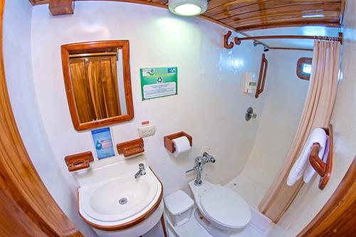 ein Badezimmer mit einem Waschbecken, einem WC und einem Spiegel in der Unterkunft Cruise Ship Southern Star At Dock Only in Bahía de Caráquez