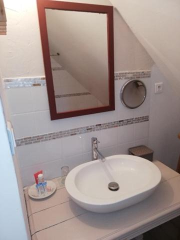 a bathroom with a white sink and a mirror at Hôtellerie Jardiniers Gourmands in Morsains