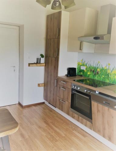 a kitchen with wooden cabinets and a stove top oven at HOTEL Jerolitsch in Krumpendorf am Wörthersee